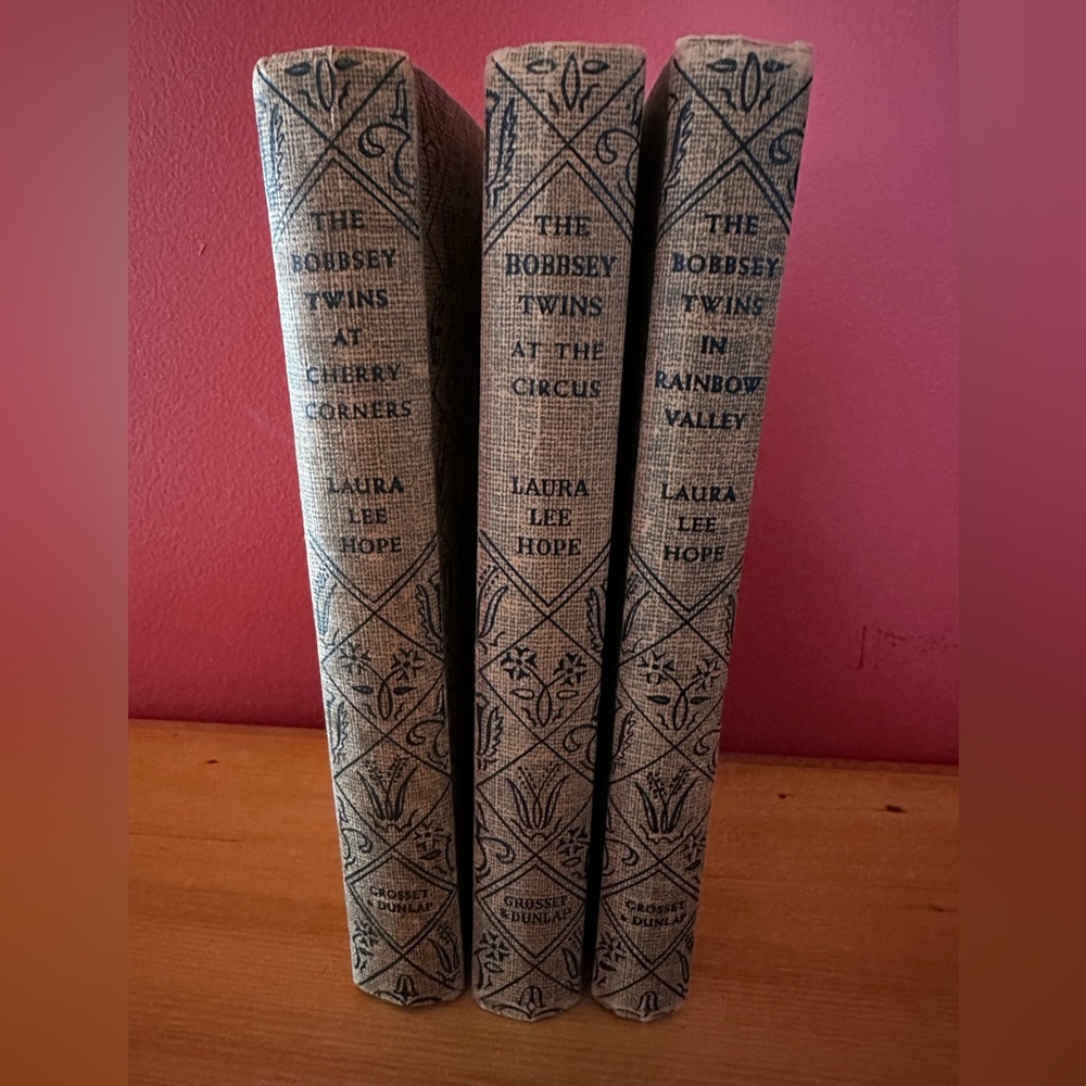 3 Vintage Bobbsey Twins books